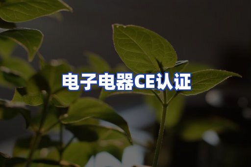 电子电器CE认证